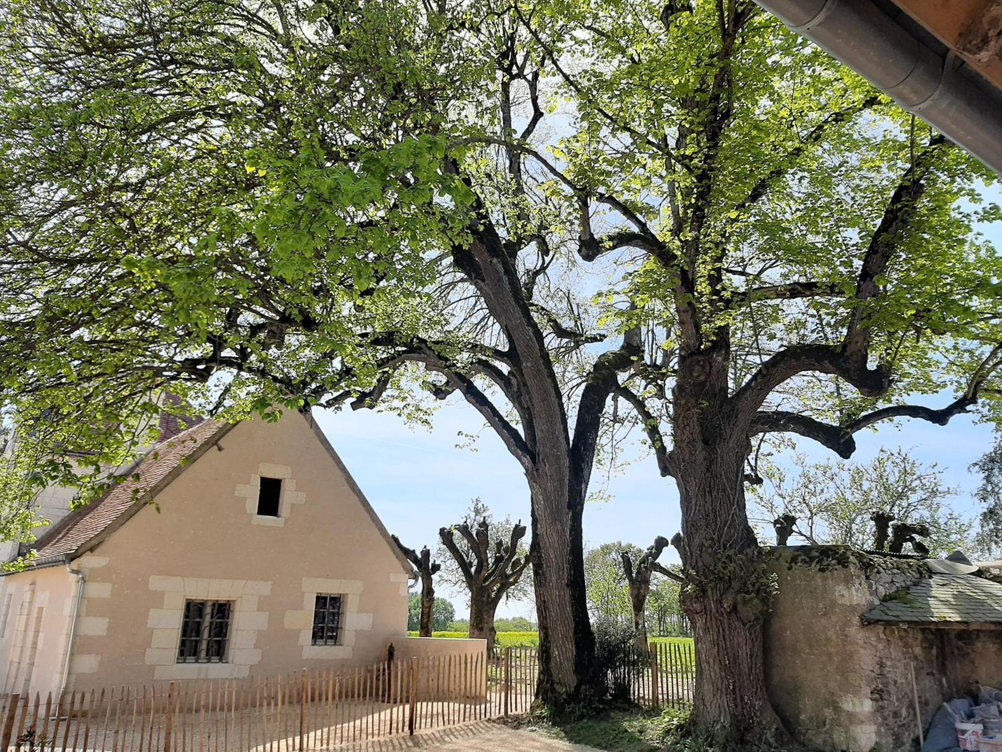 Le Puits Renaissance - Gites De Caractere Et Piscine Chauffee Chambourg-sur-Indre Dış mekan fotoğraf
